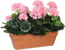 Mica Decorations geranium roze in balkonbak terra maat in cm: 39x13x40