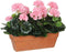 Mica Decorations geranium roze in balkonbak terra maat in cm: 39x13x40