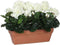 Mica Decorations geranium wit in balkonbak terra maat in cm: 39x13x40