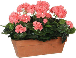 Mica Decorations geranium zalm in balkonbak terra maat in cm: 39x13x40