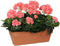 Mica Decorations geranium zalm in balkonbak terra maat in cm: 39x13x40