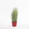 Mica Decorations Gras Kunstplant - H68 x Ø50 cm - Groen