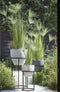 Mica Decorations - gras pluim kunstplant - groen - H102 x D15 cm