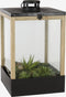 Mica Decorations Halton Lantaarn Plantenkas - L25 x B25 x H42 cm - Zwart