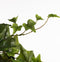 Mica Decorations Hedera Kunst Hangplant - H129 cm - Groen