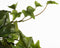 Mica Decorations Hedera Kunst Hangplant - H129 cm - Groen