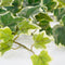 Mica Decorations Hedera Kunst Hangplant - H86 cm - Groen Bont