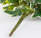Mica Decorations Hedera Kunst Hangplant - H86 cm - Groen Bont