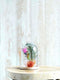 Mica Decorations Hella Glazen Stolp - H23 x Ø17 cm - Transparant, Lichtbruin