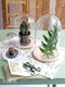 Mica Decorations Hella Glazen Stolp - H23 x Ø17 cm - Transparant, Lichtbruin