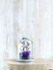 Mica Decorations Hella Glazen Stolp - H23 x Ø17 cm - Transparant, Wit