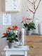 Mica Decorations Hella Glazen Stolp - H23 x Ø17 cm - Transparant, Wit