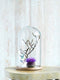 Mica Decorations Hella Stolp - H37 x Ø23 cm - Glas & Hout - Set van 2