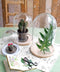 Mica Decorations Hella Stolp - H37 x Ø23 cm - Glas & Hout - Set van 2