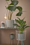 Mica Decorations Hella Stolp H37 x Ø23 cm - Wit - Hout / Glas