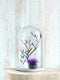 Mica Decorations Hella Stolp H37 x Ø23 cm - Wit - Hout / Glas