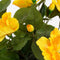 Mica Decorations Hibiscus Kunstplant in Bloempot Stan - H40 x Ø30 cm - Geel