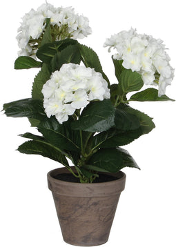 Mica Decorations Hortensia Kunstplant in Bloempot Stan - H40 x Ø35 cm - Wit