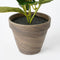 Mica Decorations Hortensia Kunstplant in Bloempot Stan - H40 x Ø35 cm - Groen
