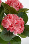 Mica Decorations Hortensia Kunstplant in Bloempot Stan - H40 x Ø35 cm - Roze