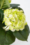 Mica Decorations Hortensia Kunstplant in Bloempot Stan - H40 x Ø35 cm - Groen