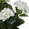 Mica Decorations Hortensia Kunstplant in Bloempot Stan - H40 x Ø35 cm - Wit