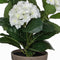 Mica Decorations Hortensia Kunstplant in Bloempot Stan - H40 x Ø35 cm - Wit