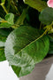 Mica Decorations Hortensia Kunstplant in Bloempot Stan - H45 x Ø45 cm - Roze