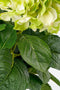 Mica Decorations Hortensia Kunstplant in Bloempot Stan - H45 x Ø45 cm - Groen