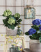 Mica Decorations Hortensia Kunstplant in Bloempot Stan - H45 x Ø45 cm - Groen