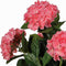 Mica Decorations Hortensia Kunstplant in Bloempot Stan - H45 x Ø45 cm - Roze