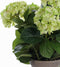 Mica Decorations Hortensia Kunstplant in Bloempot Stan - H45 x Ø45 cm - Groen