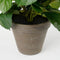 Mica Decorations Hortensia Kunstplant in Bloempot Stan - H45 x Ø45 cm - Groen