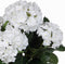 Mica Decorations Hortensia Kunstplant in Bloempot Stan - H45 x Ø45 cm - Wit