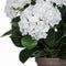 Mica Decorations Hortensia Kunstplant in Bloempot Stan - H45 x Ø45 cm - Wit