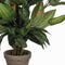 Mica Decorations Hosta Kunstplant in Bloempot Stan - H65 x Ø40 cm - Groen