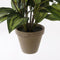 Mica Decorations Hosta Kunstplant in Bloempot Stan - H65 x Ø40 cm - Groen