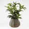 Mica Decorations Hosta Kunstplant in Bloempot Stan - H65 x Ø40 cm - Groen