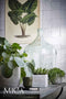 Mica Decorations jimmy bloempot vierkant lichtgrijs maat in cm: 15 x 15 x 15 - GRIJS
