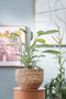 Mica Decorations Jorck Plantenmand - Set van 3 - H24 x Ø26 cm - Zeegras - Lichtbruin