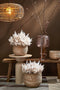Mica Decorations Jorck Plantenmand - Set van 3 - H24 x Ø26 cm - Zeegras - Lichtbruin