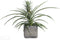 Mica Decorations Kane Bloempot - L25 x B25 x H24 cm - Donkergrijs