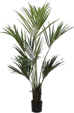 Mica Decorations Kentiapalm - H150 x Ø130 cm - groen