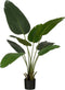Mica Decorations Kunstboom Bananenboom - 30x30x120 cm - Polypropyleen - Groen