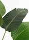 Mica Decorations Kunstboom Bananenboom - 30x30x120 cm - Polypropyleen - Groen