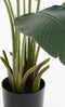Mica Decorations Kunstboom Bananenboom - 30x30x120 cm - Polypropyleen - Groen