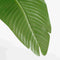 Mica Decorations Kunstboom Bananenboom - 30x30x120 cm - Polypropyleen - Groen