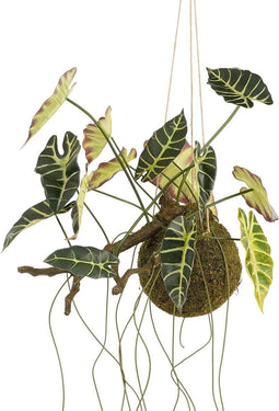 Mica Decorations Kunstplant Alocasia - 64x30x50 cm - foam - Groen