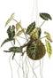 Mica Decorations Kunstplant Alocasia - 64x30x50 cm - foam - Groen