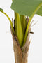Mica Decorations Kunstplant Bananenboom in Pot - H155 x Ø90 cm - Groen